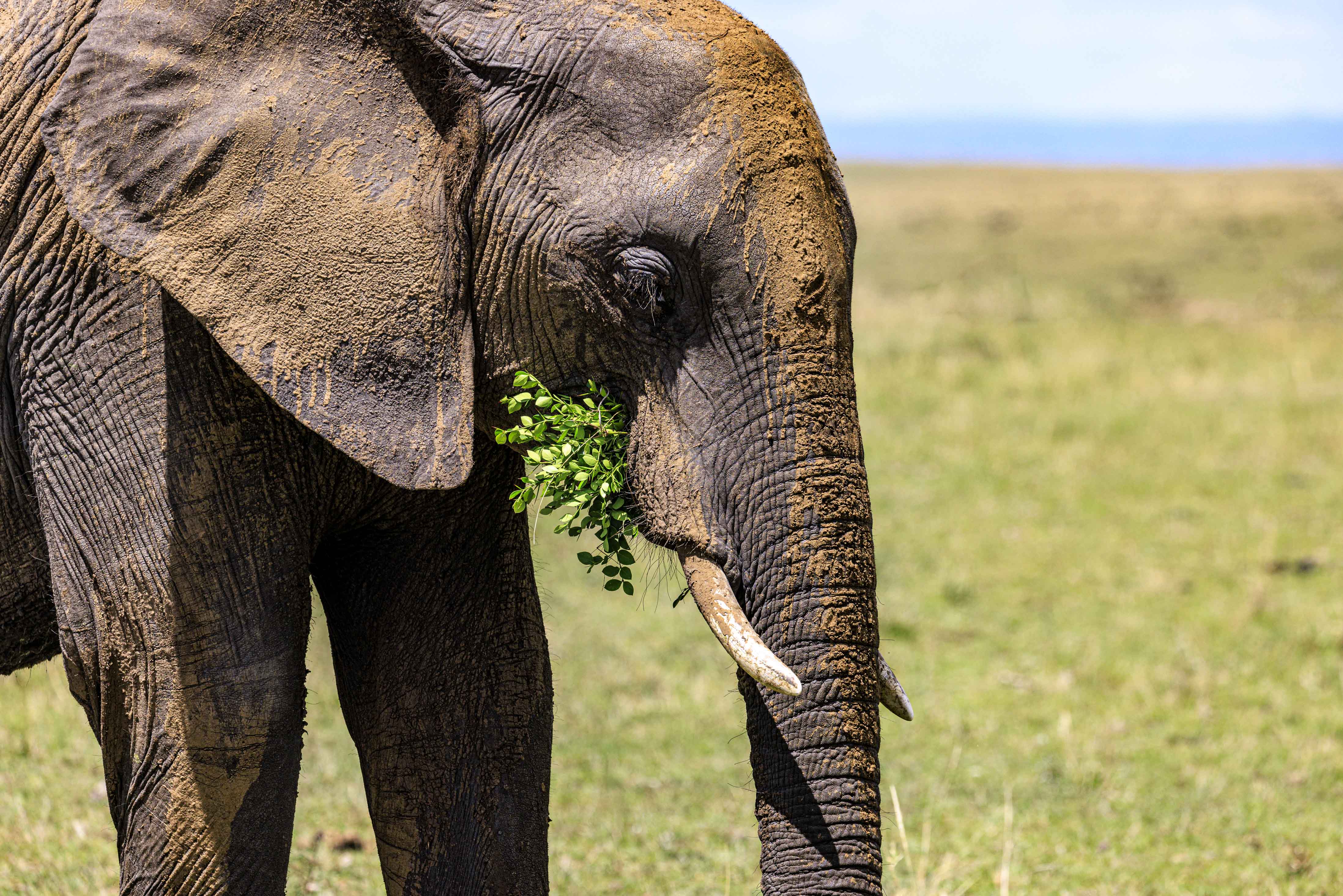 November 11, 2022-112429.jpg